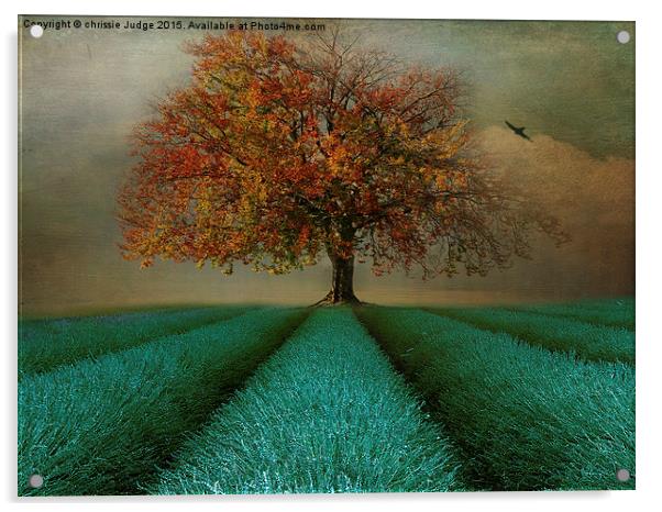  The Autumn tree  Acrylic by Heaven's Gift xxx68