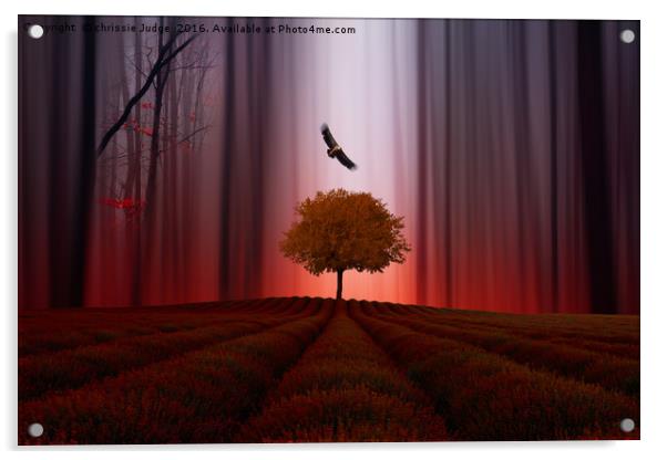 The Red forest Acrylic by Heaven's Gift xxx68