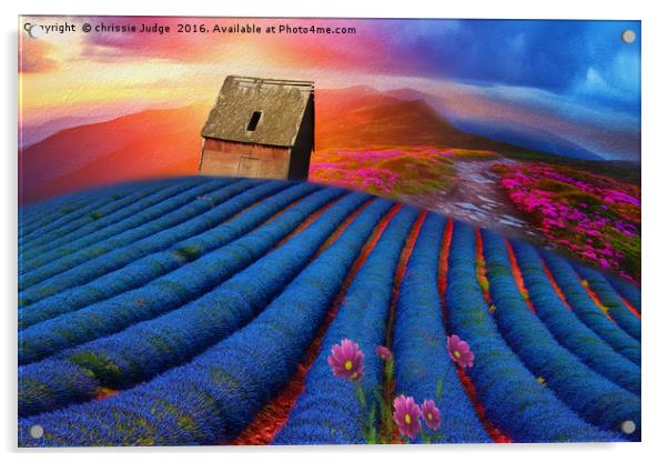 lavender-field Beauty  Acrylic by Heaven's Gift xxx68
