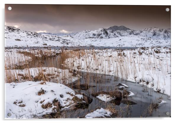 Winter reeds Acrylic by Jonathon barnett