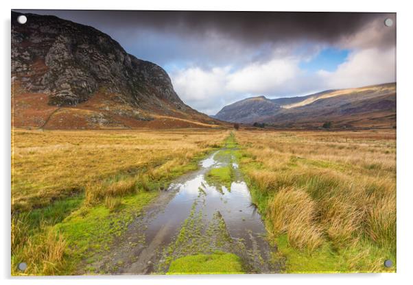 Ogwen Valley track Snowdonia Acrylic by Jonathon barnett