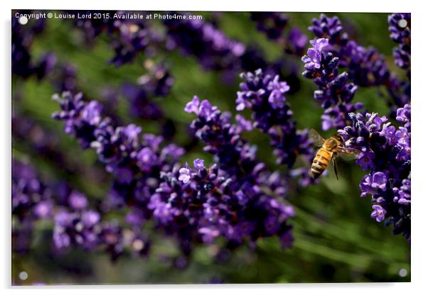 Flight of the Bumble Bee Acrylic by Louise Lord