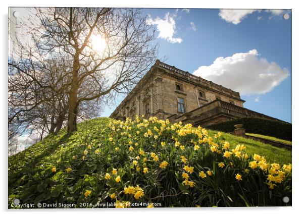 Nottingham Castle in the Sun Acrylic by David Siggers