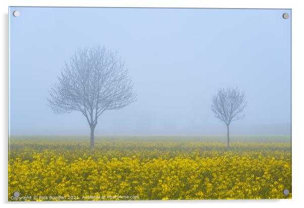 Rapeseed Pair Norfolk Acrylic by Rick Bowden