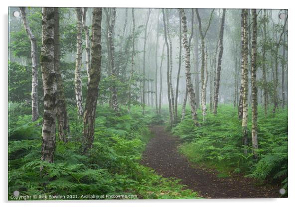 Enchanting Misty Fern Path Acrylic by Rick Bowden