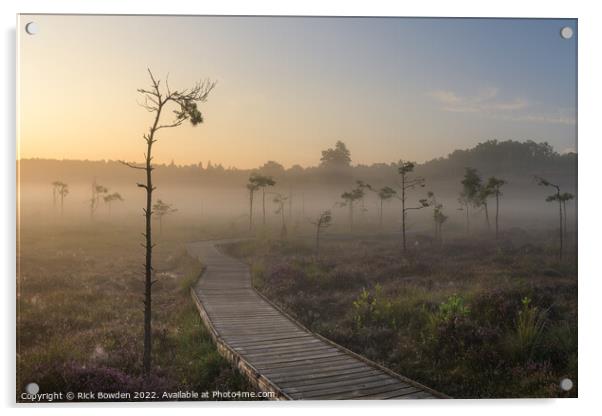 Misty Sunrise at Dersingham Bog Acrylic by Rick Bowden