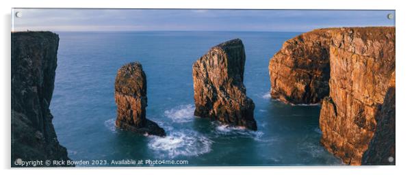 Majestic Elegug Stacks Acrylic by Rick Bowden