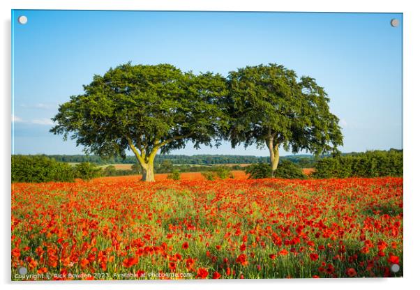 Poppy Trees Acrylic by Rick Bowden
