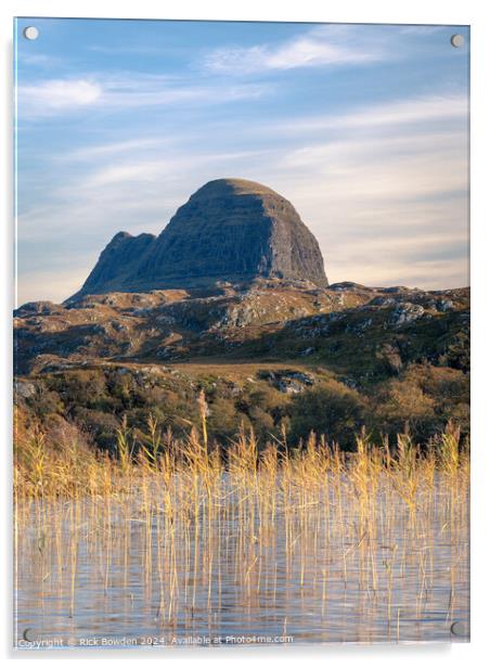 Suilven Reeds Acrylic by Rick Bowden