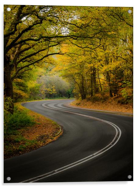 Golden Journey through Autumn Woods Acrylic by Rick Bowden