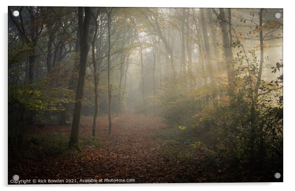 Foggy Woodland Norwich Norfolk Acrylic by Rick Bowden