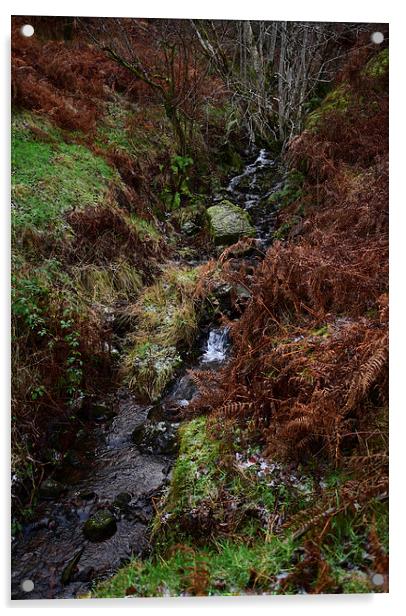 Brecon Beacons mountain stream  Acrylic by Jonathan Evans
