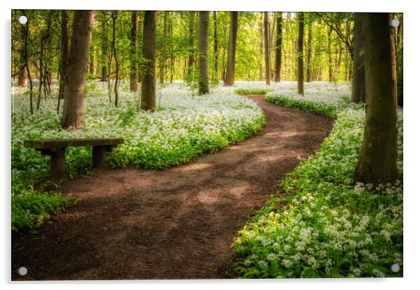 Wild garlic woods  Acrylic by Jason Thompson