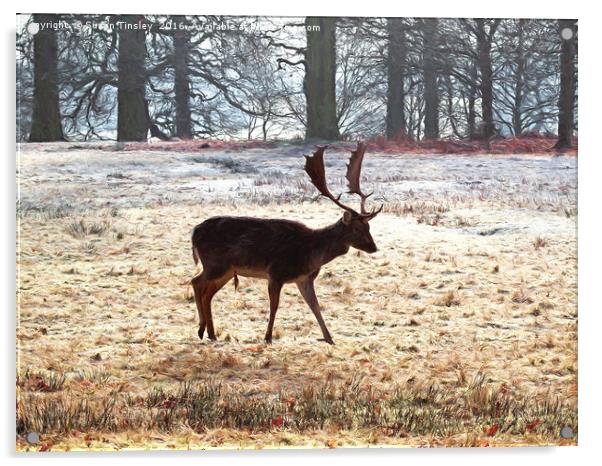 Cheshire stag Acrylic by Susan Tinsley