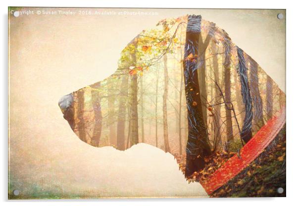 Labrador Dreams Acrylic by Susan Tinsley