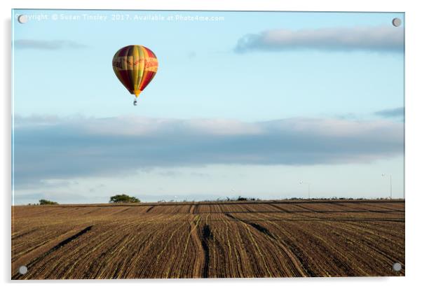 Ballooning over farmland Acrylic by Susan Tinsley