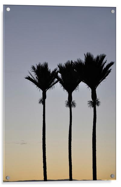 Nikau Palms Acrylic by Peter Righteous