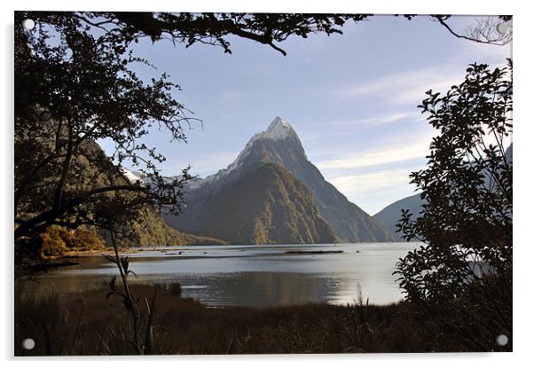 Mitre Peak, Milford Sound Acrylic by Peter Righteous