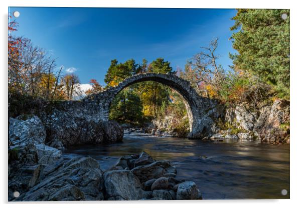 Carrbridge  Acrylic by Alan Sinclair