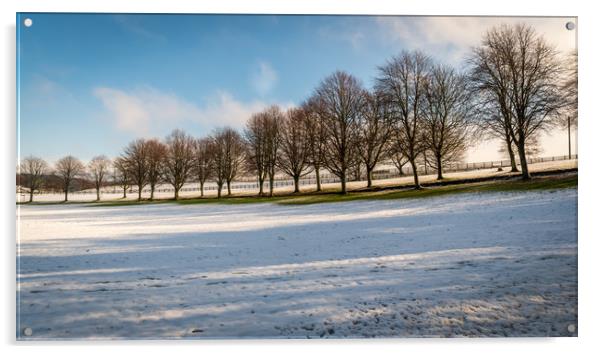 Snowy field Acrylic by Marcia Reay