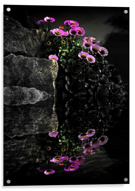  Flower and Rocks Acrylic by Christian Corbett