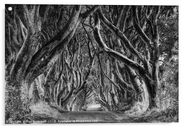 The Dark Hedges Ballymoney County Antrim Acrylic by Ros Ambrose