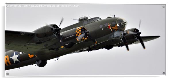 B-17 Sally B. " The Flying Fortress " Acrylic by Tom Pipe