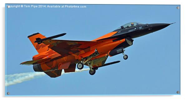  Dutch F-16 Lion Paint Job. Acrylic by Tom Pipe