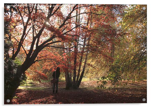  Enjoying the moment, this walker admires the beau Acrylic by James Tully