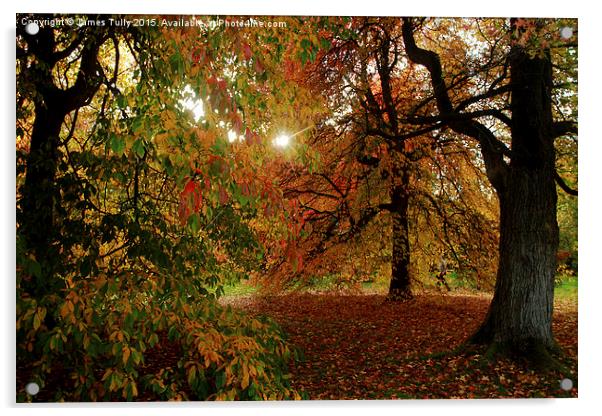  Autumn sun Acrylic by James Tully