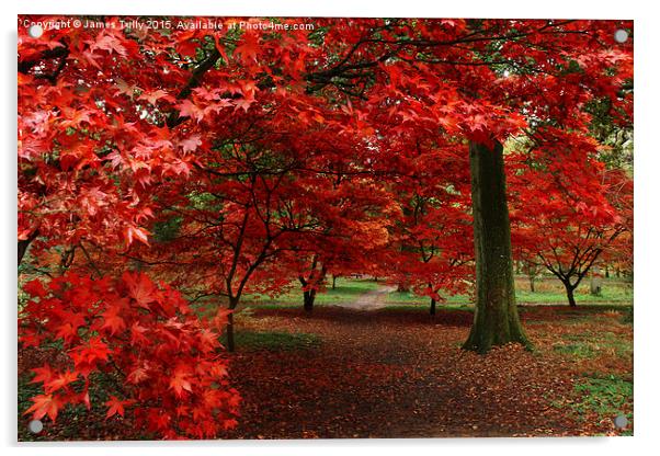  A sea of red Acrylic by James Tully