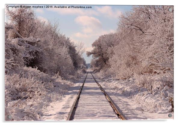  Rails through wonderland Acrylic by shawn mcphee I