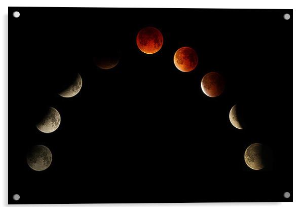  MOON ECLIPSE MONTAGE  Acrylic by DAVID SAUNDERS
