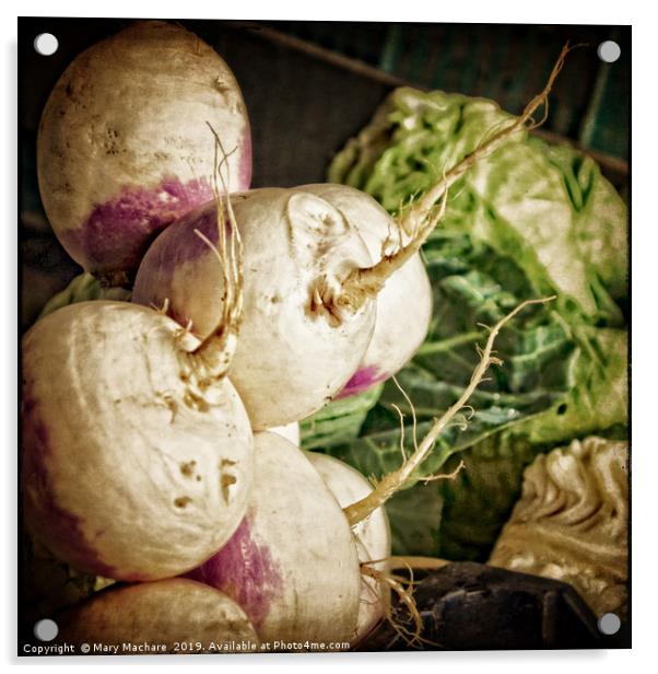 Turnips at the Market Acrylic by Mary Machare