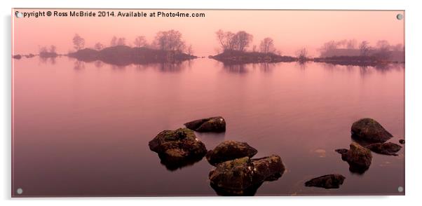 Pink Lochan Acrylic by Ross McBride