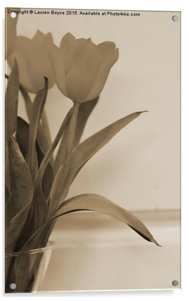 Three Tulips Acrylic by Lauren Boyce
