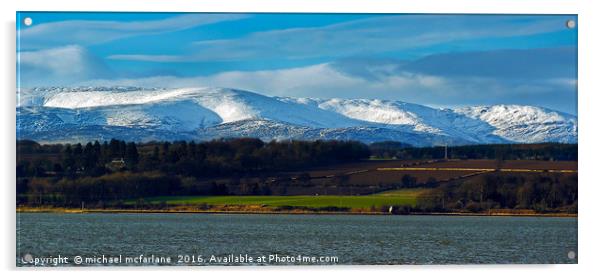 Angus Glens Acrylic by michael mcfarlane