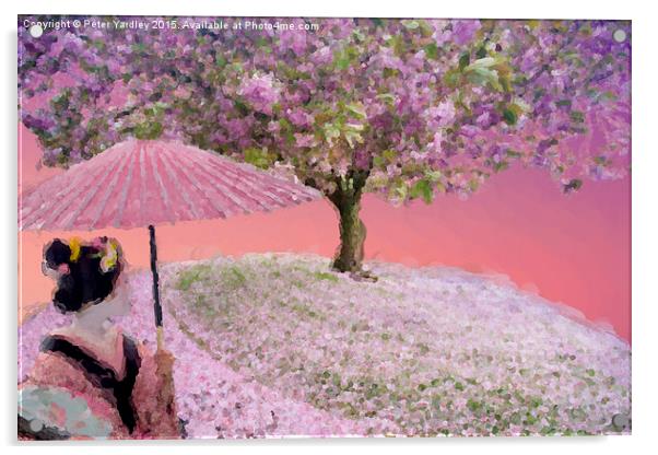  Cherry Blossom With Geisha Acrylic by Peter Yardley