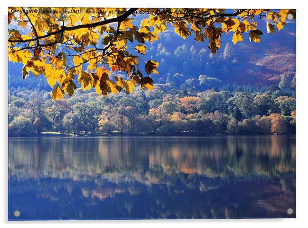  Autumn at Loweswater Acrylic by Peter Yardley