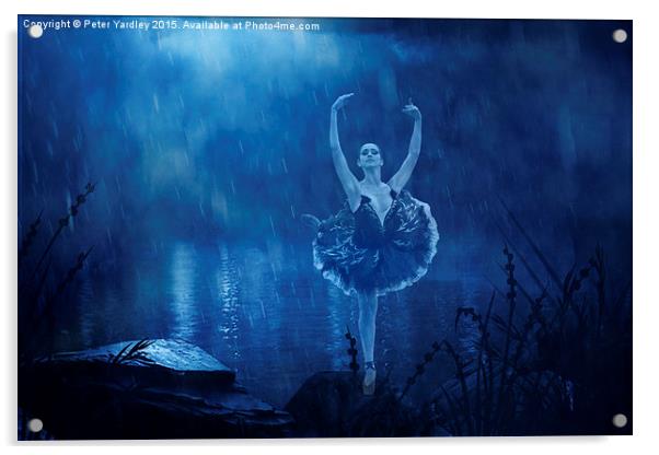  Ballerina in Blue Acrylic by Peter Yardley