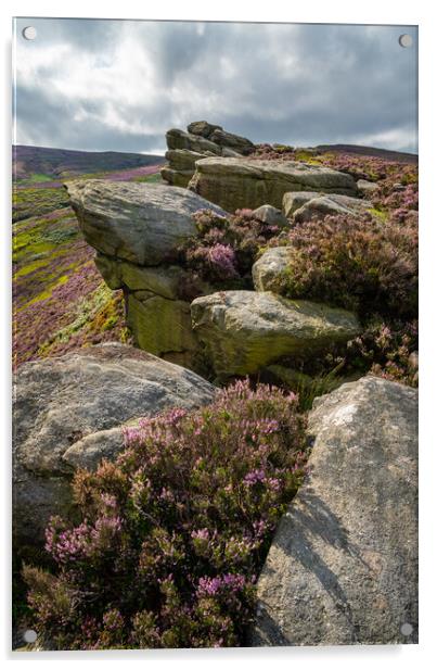 Heather blooming around theThe Worm Stones, Glossop, Derbyshire Acrylic by Andrew Kearton