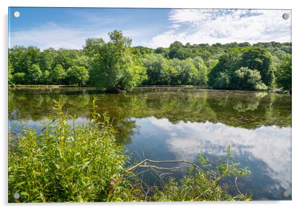 The Roman Lakes, Marple, Stockport Acrylic by Andrew Kearton