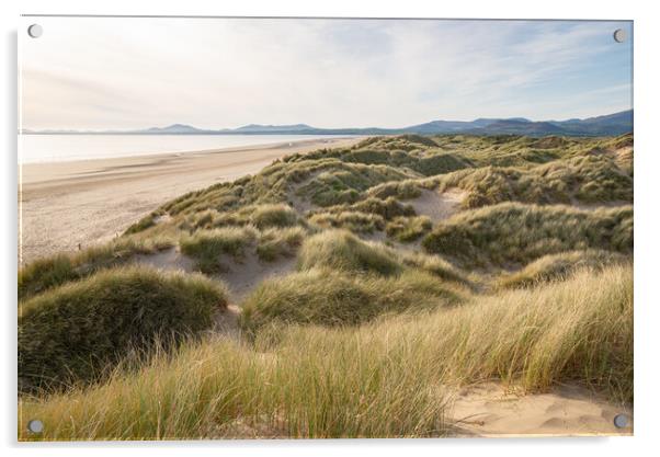 Harlech beach and dunes at sunset Acrylic by Andrew Kearton
