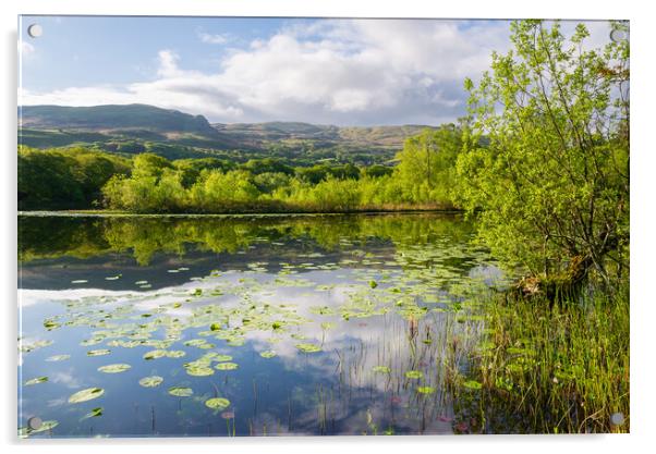 Spring at Llyn Tecwyn Isaf, North Wales Acrylic by Andrew Kearton