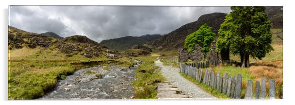 Plascwmllan on the Watkin path, Snowdonia national park Acrylic by Andrew Kearton