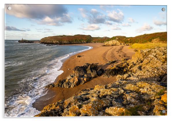 Dawn on Llanddwyn Island, Anglesley, North Wales Acrylic by Andrew Kearton