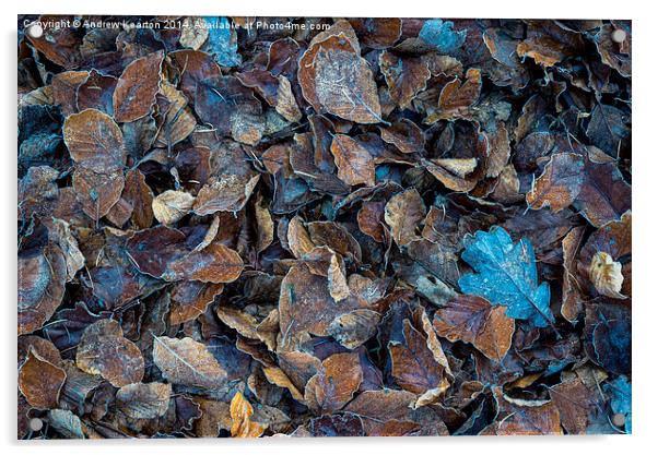  Frosty leaf abstract Acrylic by Andrew Kearton