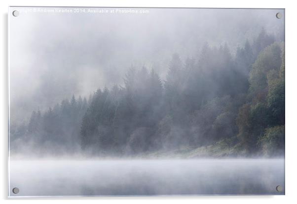  Misty forest beside Ladybower Acrylic by Andrew Kearton