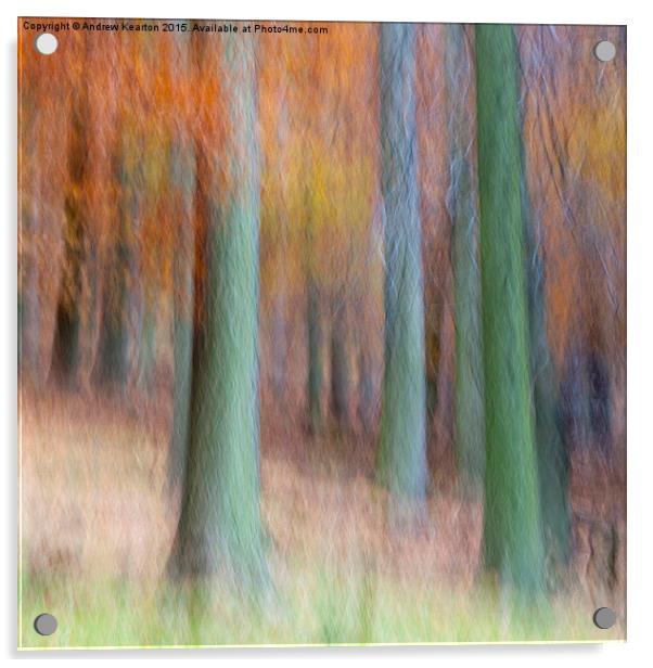  Autumn forest abstract Acrylic by Andrew Kearton