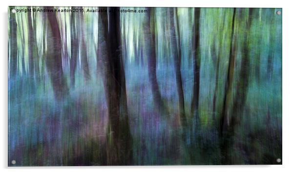  Colours of the woodland Acrylic by Andrew Kearton